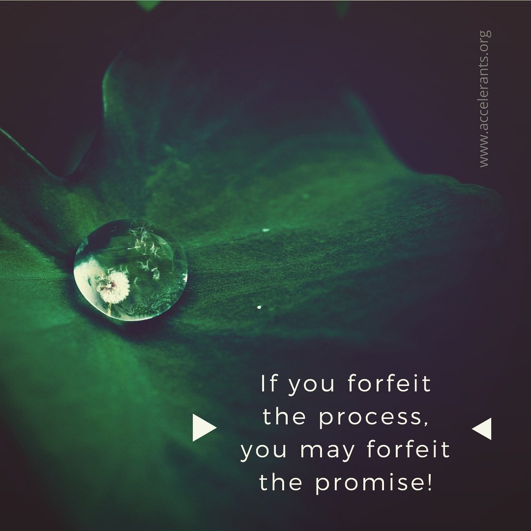 evangelnation's tweet photo. If you forfeit the process, you may forfeit the promise! #thereisgracefortheprocess #embracetheseason ❤ https://t.co/b38AWSMkq5