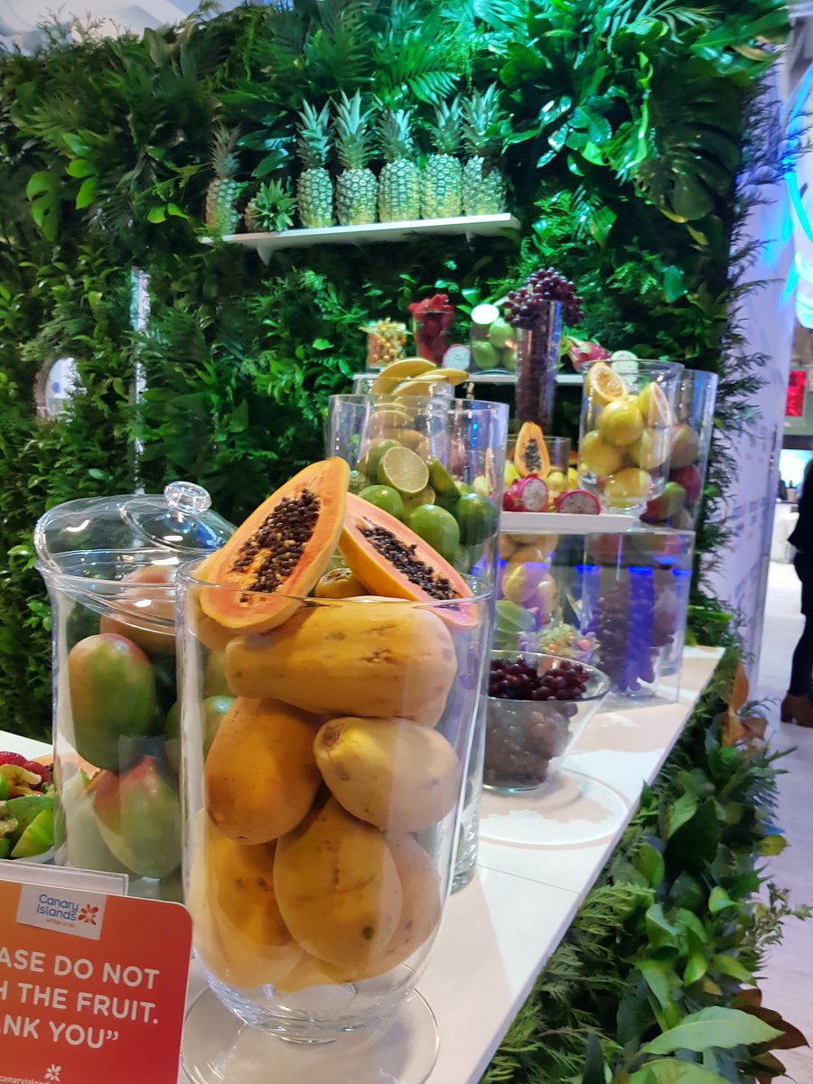 TronaWorld's tweet image. Great ITB Fair in Berlin. 
Thank you for all the interesting talks! 
We're glad of meeting so many new and interesting persons and learning about many companies. 
Looking forward for the follow-ups!
#trona #tronaworld #tronaluxuryfloating#tronabrand #floatingchair