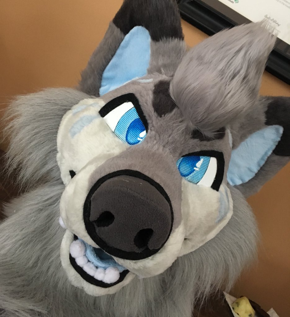 VintageWilds's tweet photo. Feeling a little under the weather today? Maybe Nimbus will help clear those clouds away! Er, maybe. 🌧💧🐺 https://t.co/hribCDrA6L