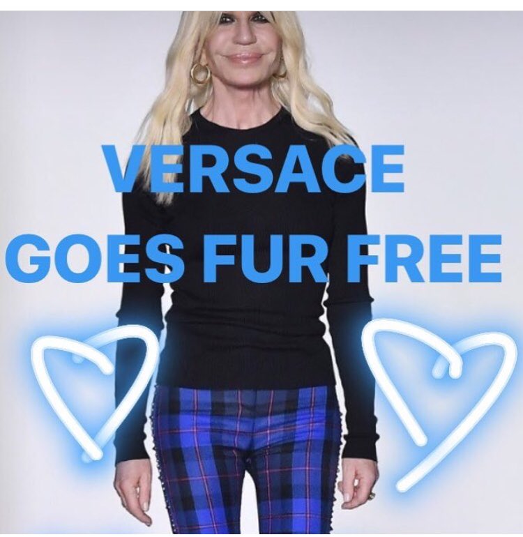 ChrisDonaghue's tweet photo. “I dont want to kill animals for fashion anymore...it doesnt feel right”
👏🏼👏🏼👏🏼❤️❤️ https://t.co/0jWUXUS5gG