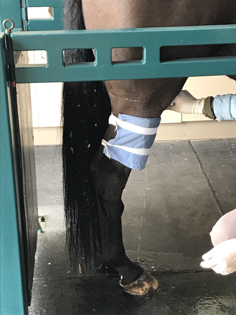 david14713149's tweet photo. #2019EQ2B4  how can you tell a seroma from a hematoma? https://t.co/yVCvz6DRth