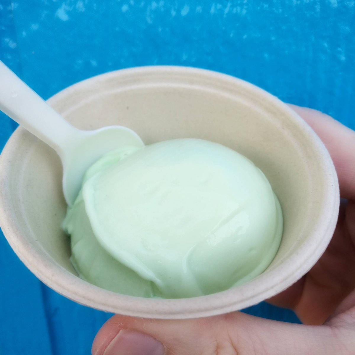 CaseysSnowballs's tweet photo. For Saint Patrick's day we've made a green vanilla custard for scoops or snowball stuffing. We only made a limited amount, so get while the getting's good! https://t.co/MZl1dhs9LU