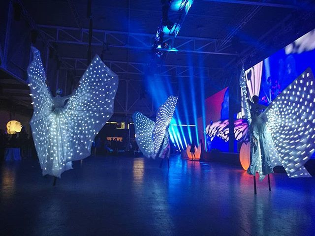 baestbergonzoni's tweet photo. #BIMconvention @TS_talkS2018 #Milano: #BIM #butterfly. #talks2018 #digitalisrunning @STRsoftware https://t.co/l0WAhVY6MG https://t.co/X2SIFuJcXf