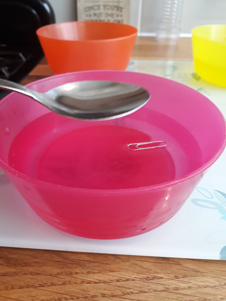 lisabarracloug2's tweet photo. Harris Shires 1M @Y1_Windmill_CE and Isaac Shires RH @rec_windmill_ce success with paperclip placed in the dish with a spoon and kitchen roll it floated!! @ScienceWindmill https://t.co/IkdaQRy45Y