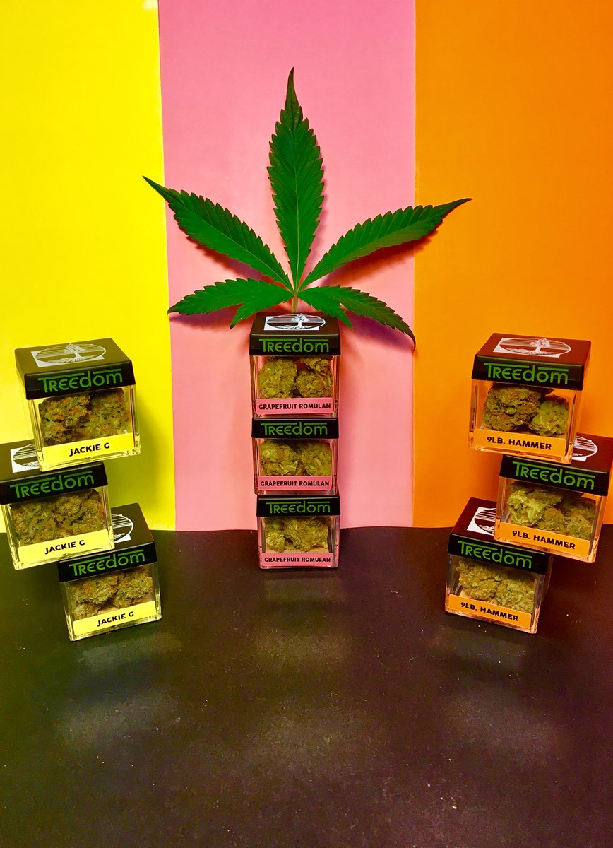 treedomproducts's tweet photo. Jackie G, Grapefruit Romulan and 9lb hammer are important parts of our strainbow 🌈 here at Treedom.

#GrapefruitRomulan
#Jackie G 
#9lbhammer
#cannabiscommunity 
#weedstagram 
#stoners https://t.co/ZP399in3Cn