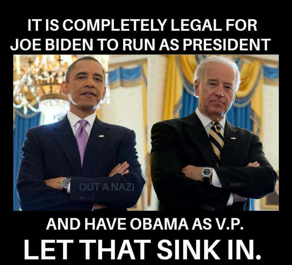 22aspen36's tweet image. .@JoeBiden @BarackObama.  woot! 
#HellYeh