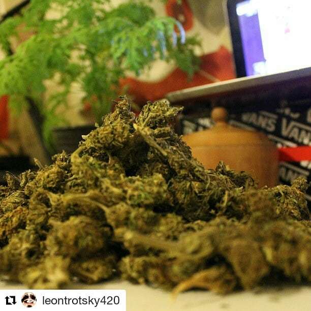 timeweed's tweet photo. #cuatroveinte de @leontrotsky420
#instaweed #instaweeds #w420 #weedinstagram #instaweed #instaweeds #instagood #instakush #smoketime #smoke #420photography #420 #timeweed #thc #photo #dailycannabis #highsociety #instaseed #cannabiscommunity #cannabiscul… https://t.co/Gu49IY5Q9j https://t.co/5Mc1pe0ZZX