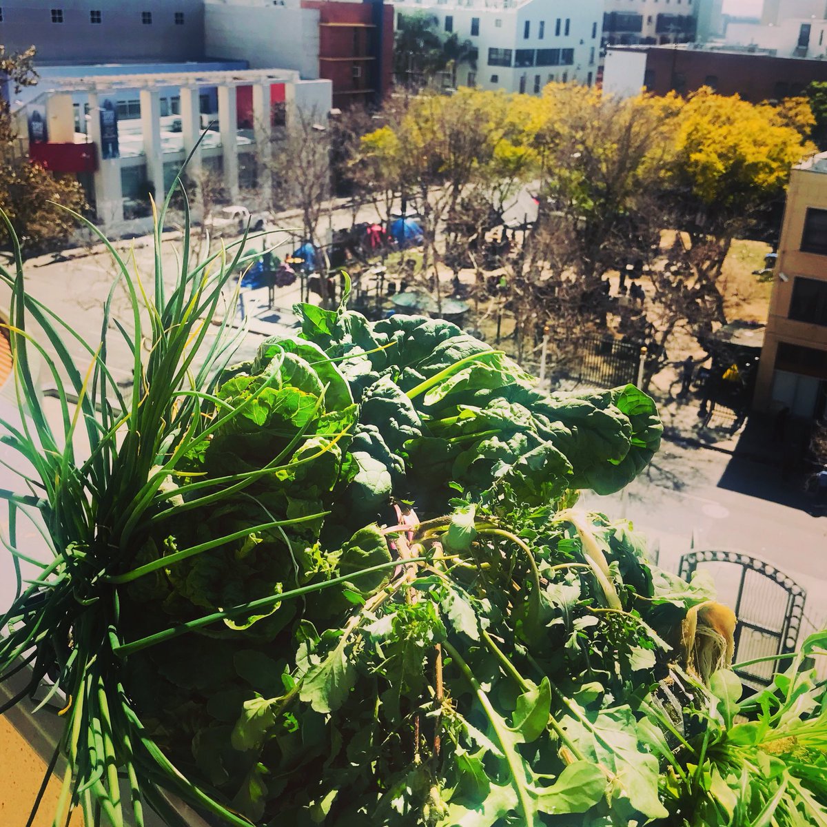 We see you I promise! I and we will not rest until you can rest somewhere other than that tent! Offering you #Healthy food for your bodies and your brains and all the #love we have for your hearts! We will do this! #endhomelessness #skidrow #garden <a href="/thelamission/">Los Angeles Mission</a> #dtla #EVERYONEIN