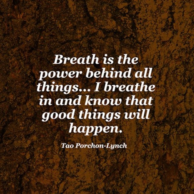 JWPowerYourLife's tweet photo. Your #LateNight #SleepThought
Hope you are taking the time to truly #breathe.
Your breath is your creation factory if you will.
Behind #ConsciousBreath is the power to all
things.
#DrJoAnneWhite #PowerYourLife @JWPowerYourLife
#TaoPorchonLynch https://t.co/aqZ838SRdb