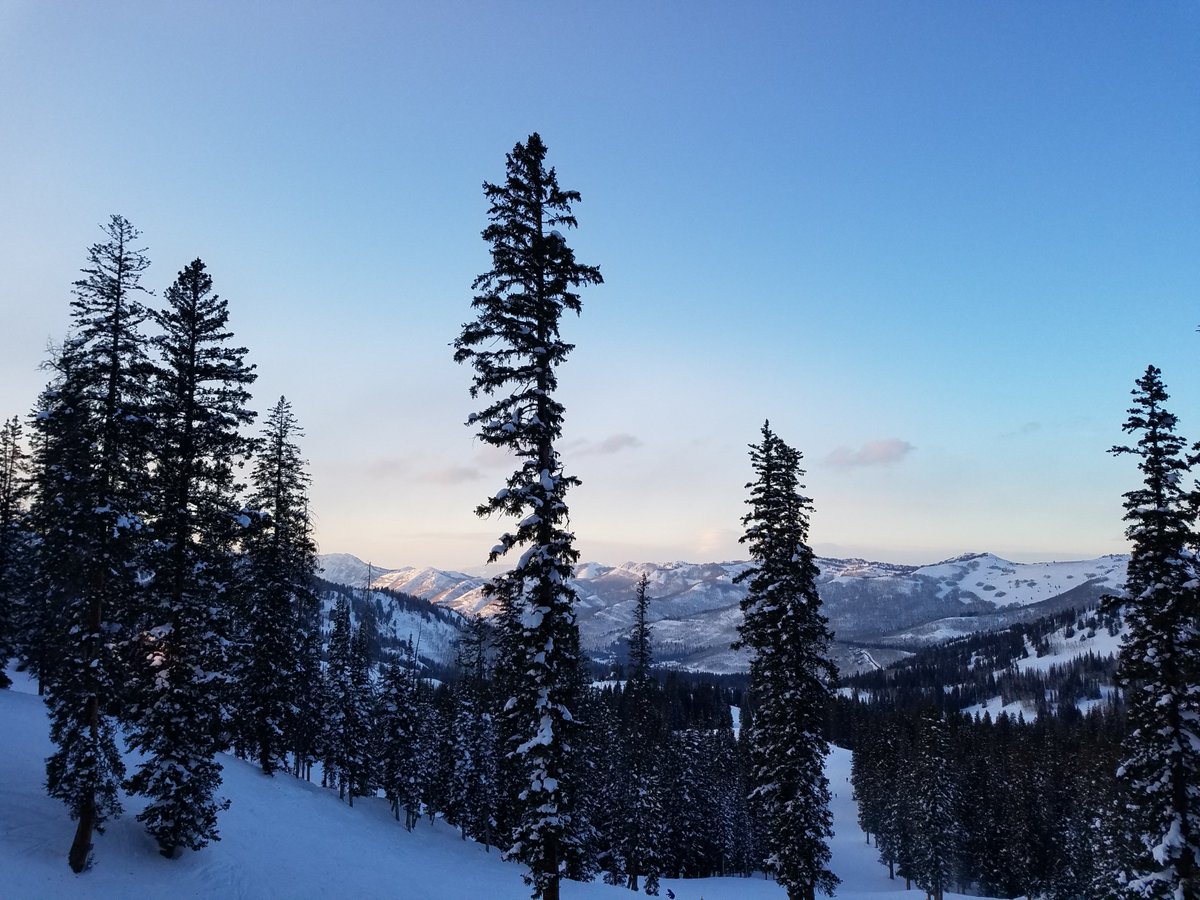 Mitch_Layden's tweet photo. Tons of trees to keep us busy during night skiing | Day 12 on #TheMAXPass @BrightonResort #SkiUtah #bigcottonwoodcanyon https://t.co/O58YSPYqJQ