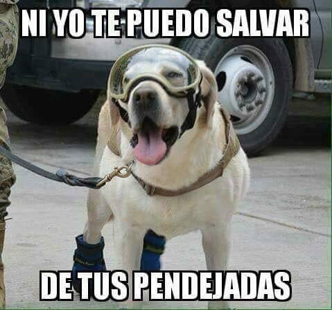 Ver imagen en Twitter