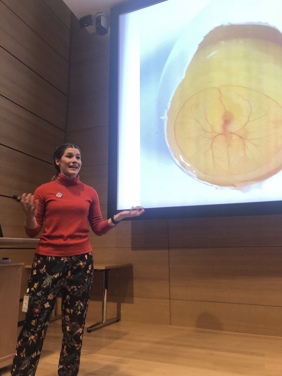 GretaKeenan's tweet photo. What drives sex? Amazing talk from @GunesTaylor feat. genitals and chicken eggs for the #cricklate 👩🏻🔬🐣 https://t.co/ryDNQxWuyW