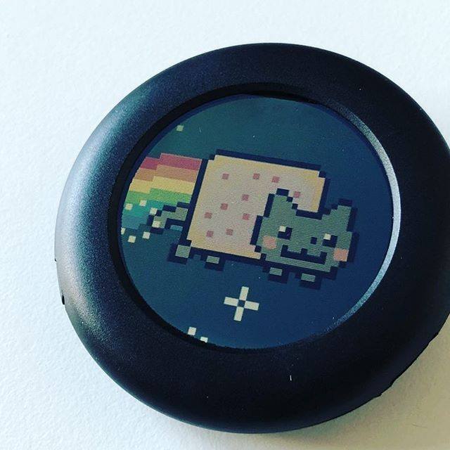PINSCOLLECTIVE's tweet photo. You've got to be kitten me this is so cute. #pinscollective #pinone #nyancat 📷: @tatsubu 📷: @pins_collective https://t.co/7kN38Pk6Wc https://t.co/7PDH7k93fh