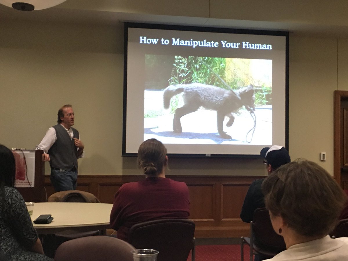 Great talk by @LeeDugatkin on the silver fox experiments for #OUdreamcourse #science @OUAnthropology