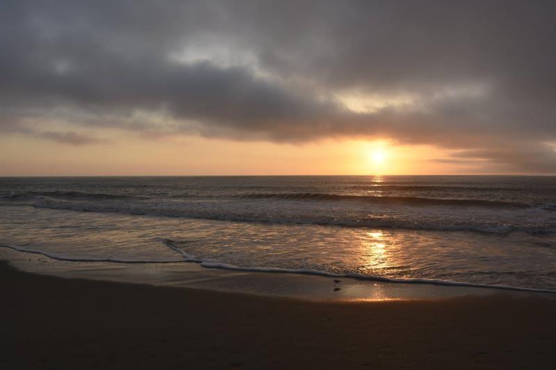 _AweMost_Perf's tweet photo. My friend Eric is a finalist in Hotel Tybee's Photo Contest- help rally votes: https://t.co/dOamZSDFGw @HotelTybee https://t.co/5phanv4nmU