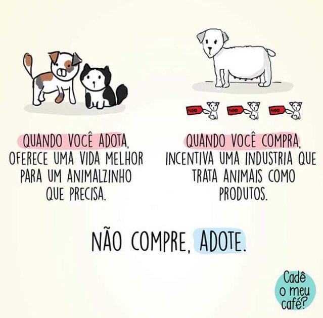 QueridoCachorro's tweet photo. Quando você adota https://t.co/tx66omtlxL