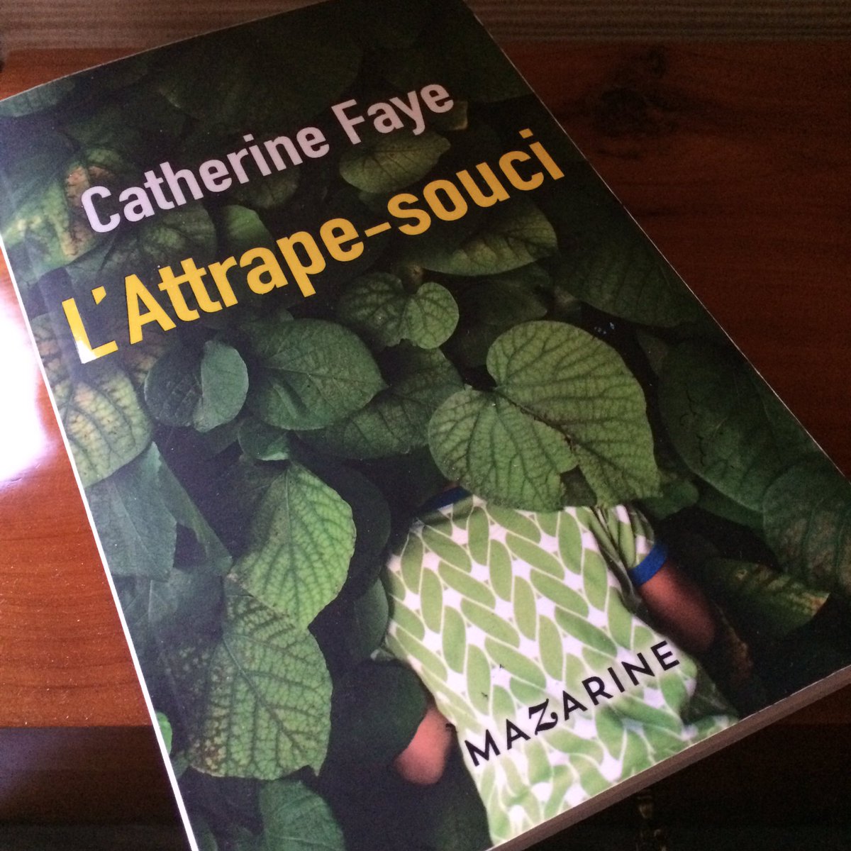 DominiqueSudre's tweet photo. Ma #lecturencours c'est "L'attrape-souci" de Catherine Faye @mazarineedition #premierroman Buenos Aires, un enfant, une mère, une légende 📖 https://t.co/Wst7I2CPv7