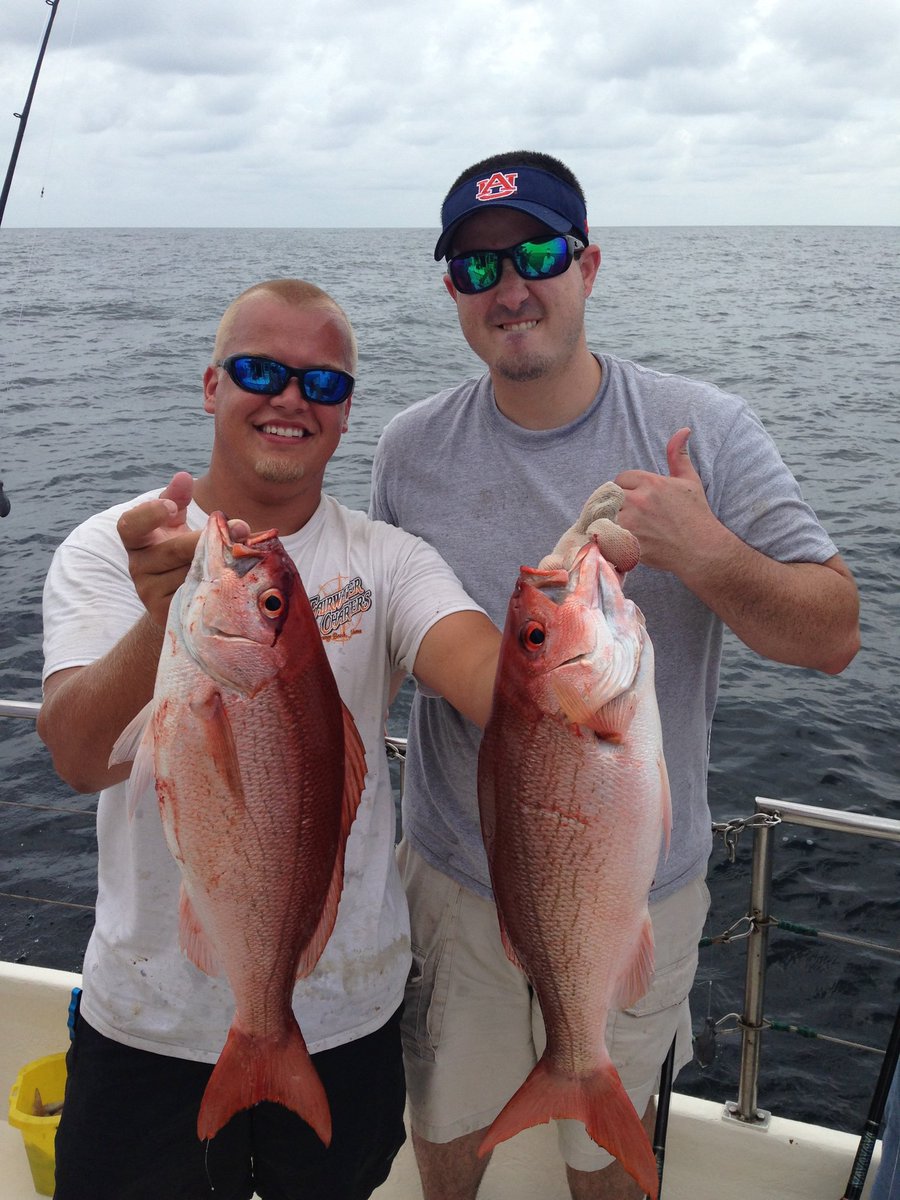 Orangebeachfish's tweet photo. Spring fishing has been excellent this year, come get in on the action!
#SpringBreak2k18 
#deepseafishing 
#fishing 
#gulfshores 
#orangebeach 
251-979-2682 https://t.co/s6r4pHURR9