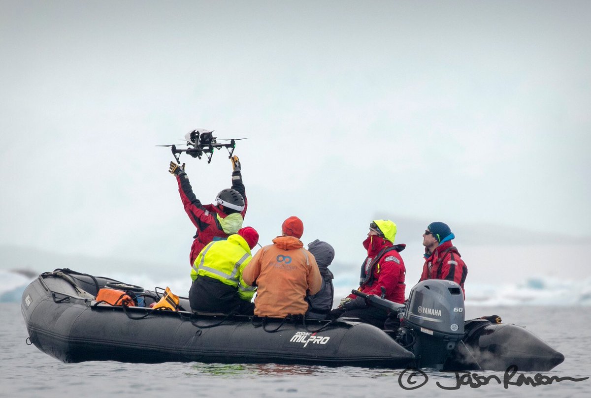 Kate Sprogis (@katesprogis) on Twitter photo Back to the real 🌏: Our research trip to #Antarctica to study 🐋 using #drones was a success, thanks to <a href="/CAOceanAlliance/">CA Ocean Alliance</a> and <a href="/OneOceanExp/">OneOceanExpeditions</a> Back to the real 🌏: Our research trip to #Antarctica to study 🐋 using #drones was a success, thanks to <a href="/CAOceanAlliance/">CA Ocean Alliance</a> and <a href="/OneOceanExp/">OneOceanExpeditions</a>