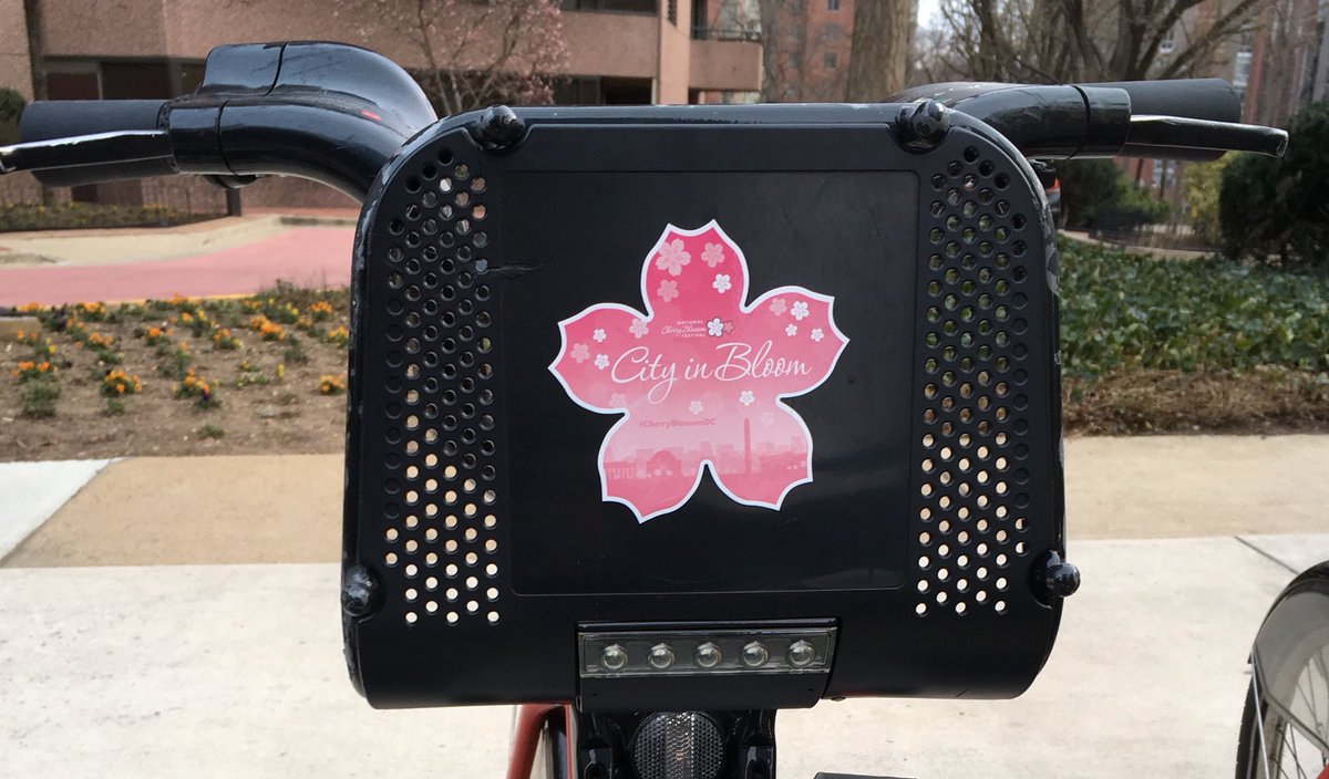 bikeshare's tweet photo. It sure doesnβt feel like Spring, but we can at least make it look like it! #cherryblossom #petalsonpedals #bikedc #cabiapp https://t.co/rcH6ad8OOF