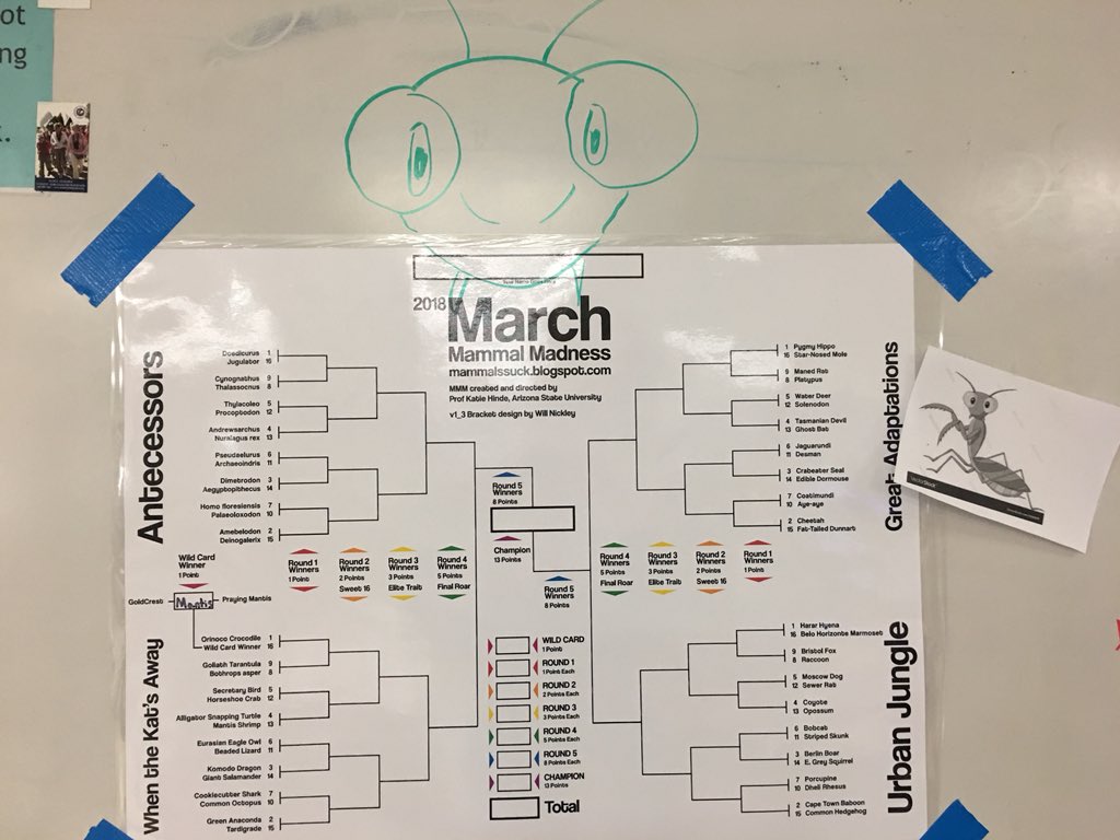 JEvans4Science's tweet photo. Hope my picks are more successful than the wildcard! #2018MMMBracketChallenge #2018MMM https://t.co/jSr2LHYEVp
