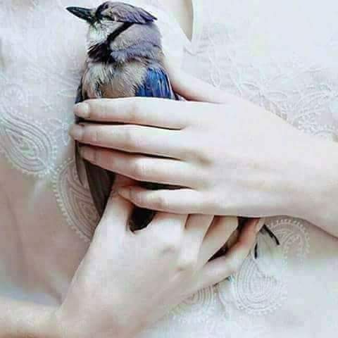 2L__2's tweet image. بوح :

.
.
مشاعري فيه مجنونة ومتمرد
مثل النسايم بليلة صيف مجنونه
لو يعرف الطير وش في صدرها غرد
ولو مر صدري بكى من كثرة طعونه
.
.
#هلوسات
#هذيان
.
.