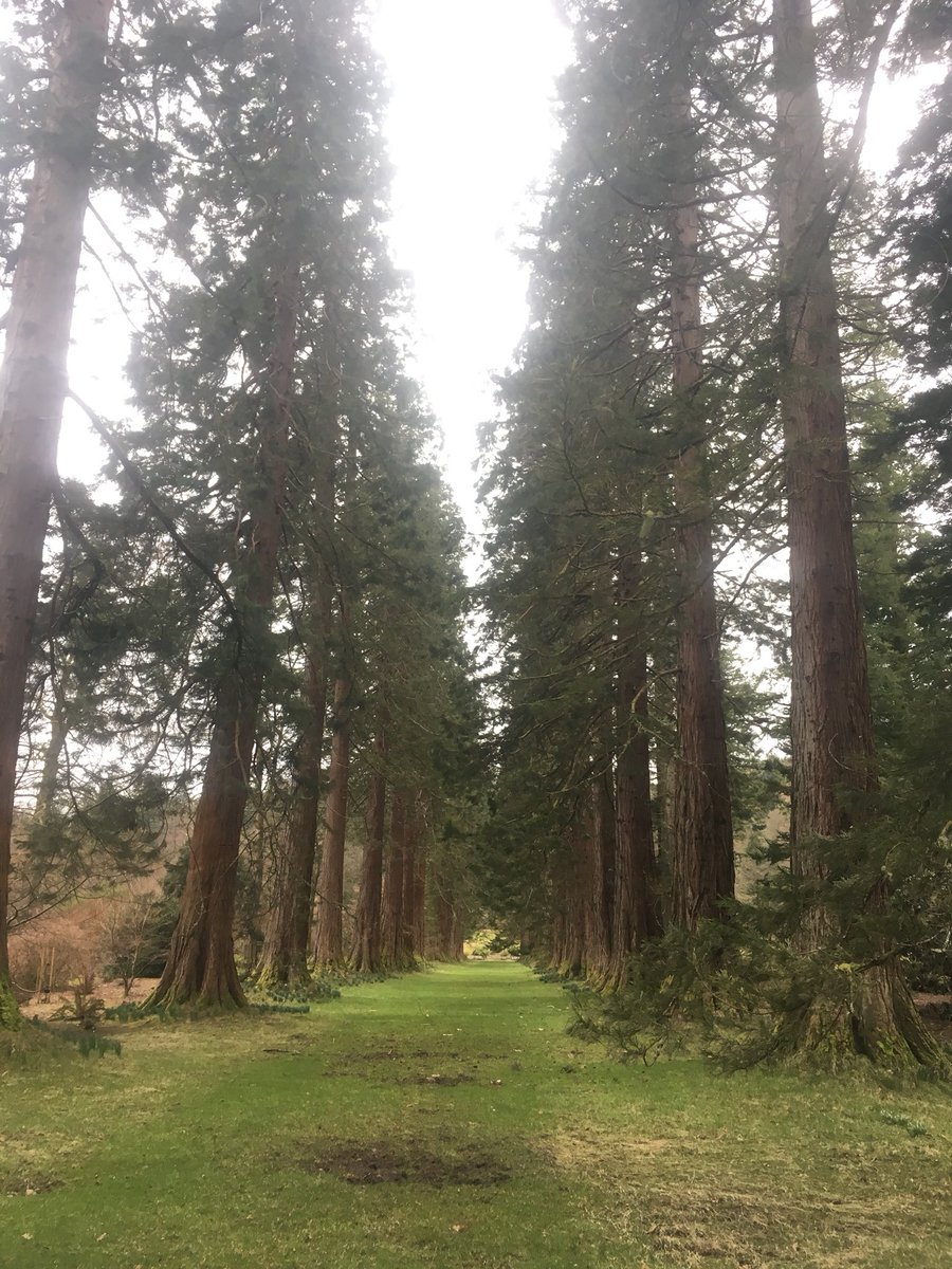 IFSA Scotland tweet media