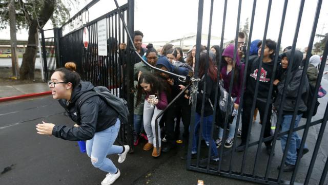 The Hill tweet media