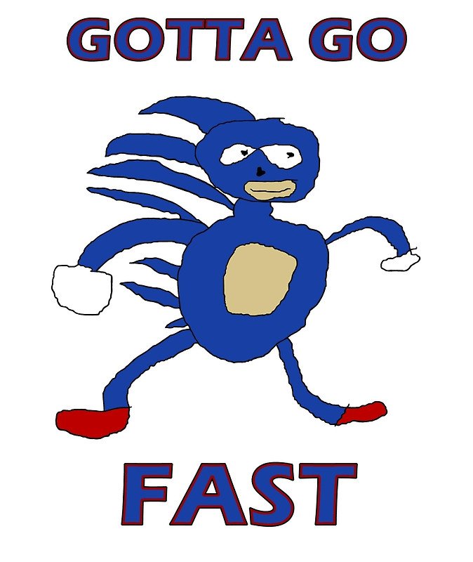 Image result for sanic