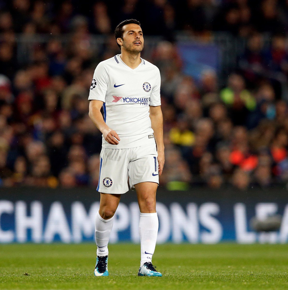 _Pedro17_'s tweet photo. We have fought until the end, but we couldn’t get a place on the next round. Let’s keep heads up and focus on the next game. Come on Blues! / Peleamos hasta el final, pero no logramos el objetivo. Toca levantar la cabeza y pensar en el próximo partido #CFC #UCL https://t.co/c9QAjB9oH3