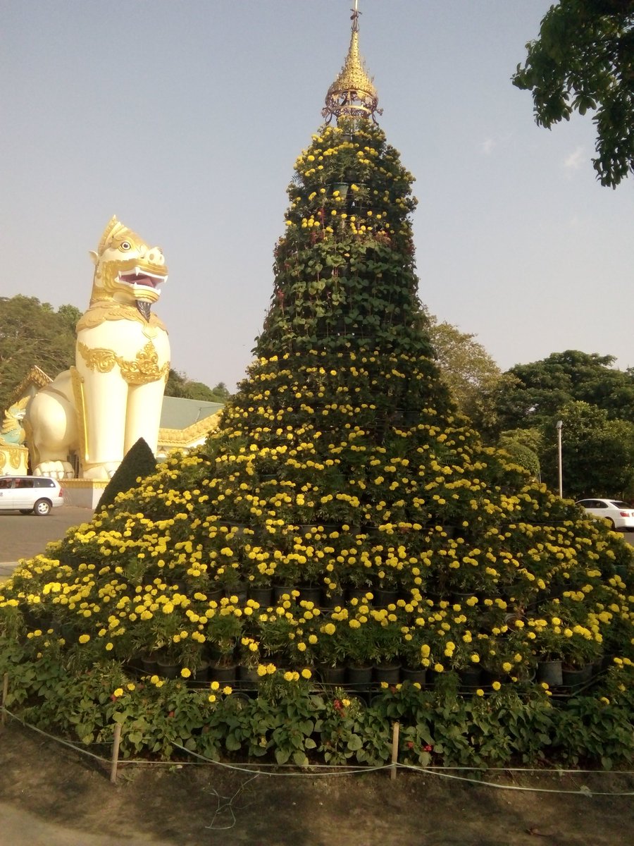 PyaeShinMin1's tweet image. Myanmar yangon city