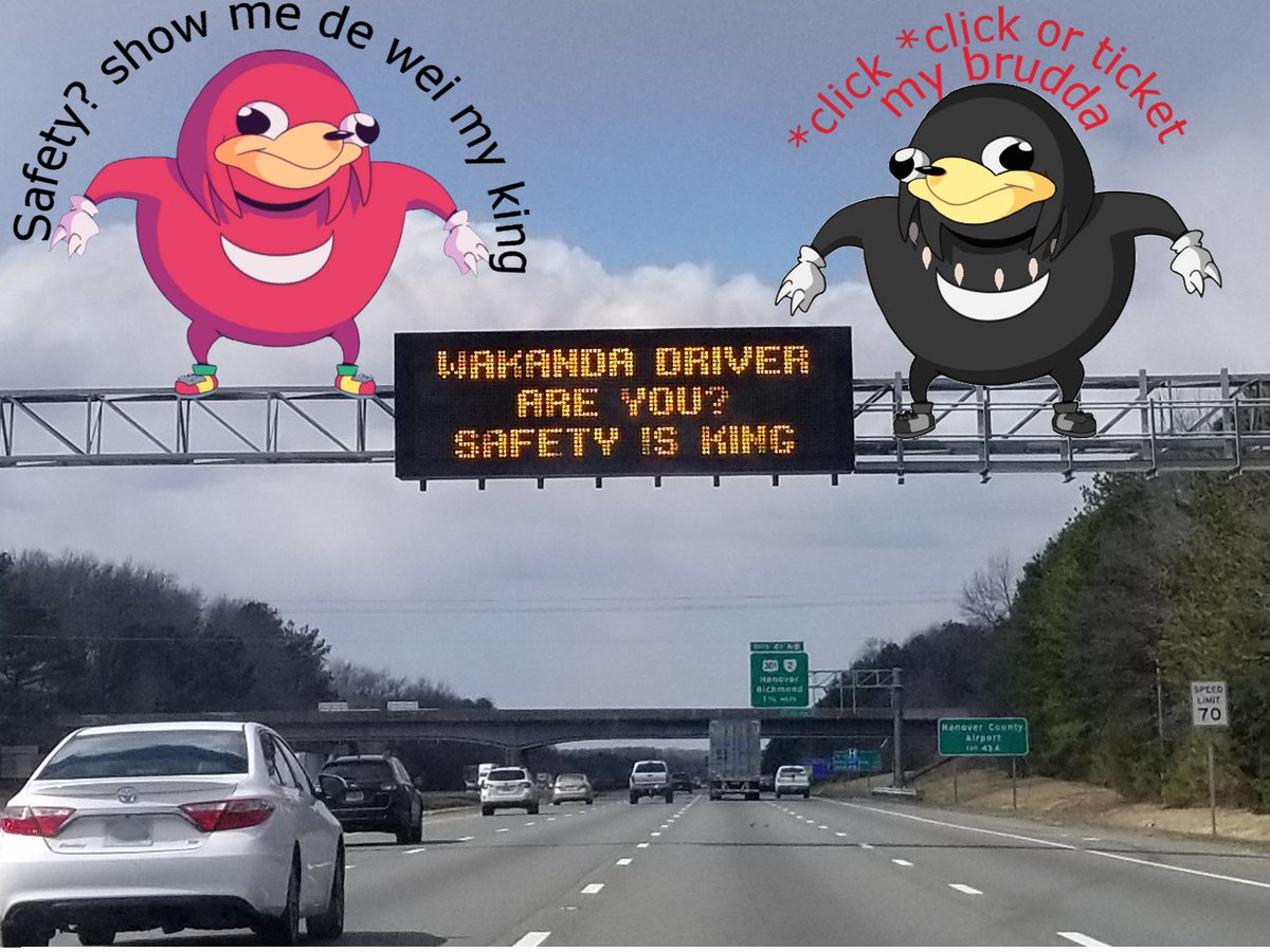 victomaru's tweet photo. Saw this sign on #295north and this is the first thing I could think of. Wonder who got this gem through, someone needs a promotion lol.
 #UgandanKnuckles #wakanda #WakandaForever #RVA #Virginia #Memes #BlackPanther https://t.co/RMsKQNK9S4
