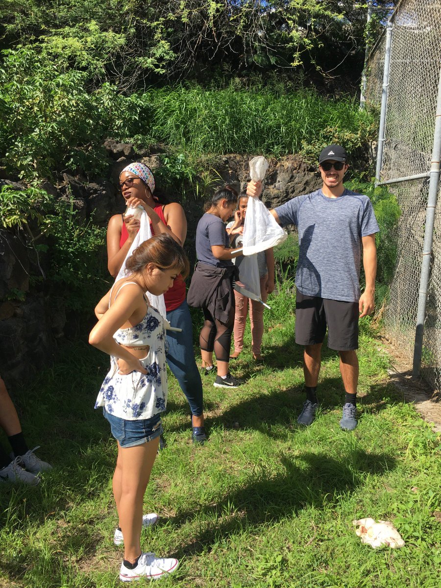 CUHForensics's tweet image. Our FS 460 (Forensic Taphonomy) students have been busy learning to collect insects! Entomology is used in Forensic Science to help estimate postmortem interval (PMI). #forensictaphonomy #fieldwork #handsonforensics