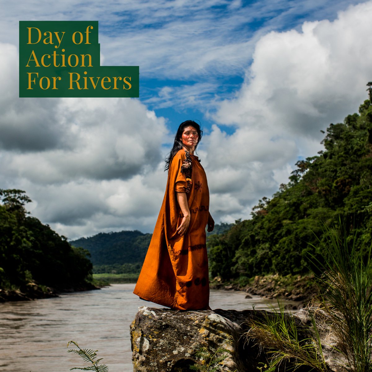 In honor of #WomensHistoryMonth and #DayofActionForRivers, we're celebrating five #GoldmanPrize women river defenders from around the world. Read their stories: bit.ly/2pc9Fa7 #womensday #IWD2018 #RiversUniteUs