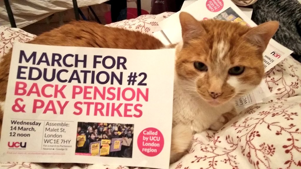 HannaKienzler's tweet photo. Strike paraphernalia. #USSstrikes #strikeforuss #MarchForEducation2 https://t.co/wRuU9Crlcc