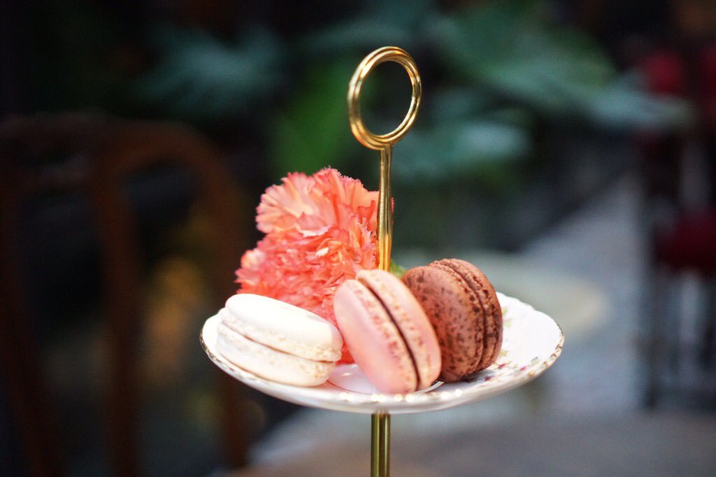 Th’e tea house ☕️🍃
📍 สุขุมวิท 55 , BTS ทองหล่อ

ร้านตกแต่งสไตลฝรั่งเศส ที่ร่มรื่นมากๆสาววกชาต้องมา มีชาให้เลือกเยอะมาก ที่สำคัญร้านนี้แสงดี ถ่ายรูปสวยค้าาา  💁🏻‍♀️✨

<a href="/aroii/">@aroii บอกต่อ</a> #cafehopping #cafehoppingbkk #รีวิวคาเฟ่ #อร่อยบอกต่อ #อร่อยไปแดก #ReviewThailand