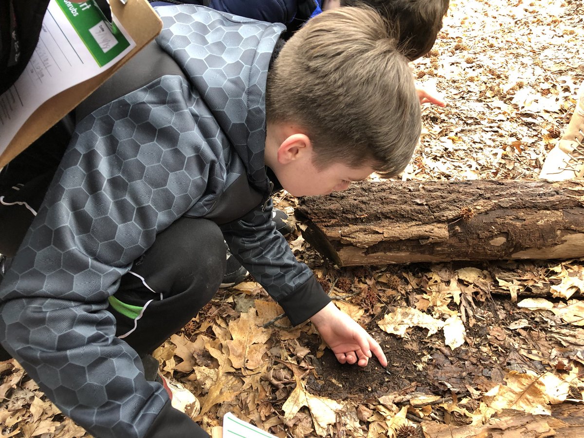 SCSMsMueller's tweet image. ELF team out exploring at Clay Pit Pond 🌳 #scsscience #hiking