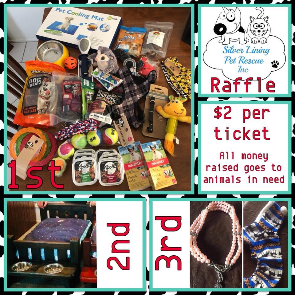 silverliningaus's tweet image. ATTENTION DOG LOVERS BRISBANE 🐶❤️Doing another raffle to raise funds for our animal rescue 
All money raised goes to animals in need 😺
$2 per ticket 
Will update in comments tickets on facebook post. 
Details on main post FB. Link here: facebook.com/SilverLiningPe…