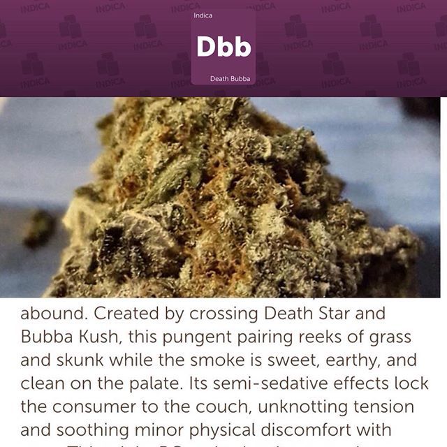 BuddOfCourse's tweet photo. Death Bubba, but you'll get better! #weedfeedkiller #weed420feed #canadianstoners #ohcannabis #marynation #weedpalace #nbs #topshelflife #youknowitsdank #onlysmokethefinest #high365 #high_larry_us #stonerdays #stankyydankyy #naturalbornstoner #losganjales #crackingnugs #fue… https://t.co/KDg3yp8BEi
