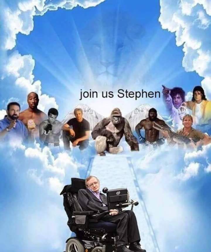 ScowlingAl's tweet image. 