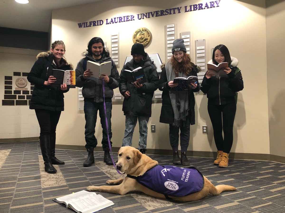wluICEgroup31's tweet photo. Reading up on those Marketing, Ops and OB concepts...wait, pups can’t read... #LazaridisICEWinter18 🐶📚 https://t.co/K1ksXSidtB