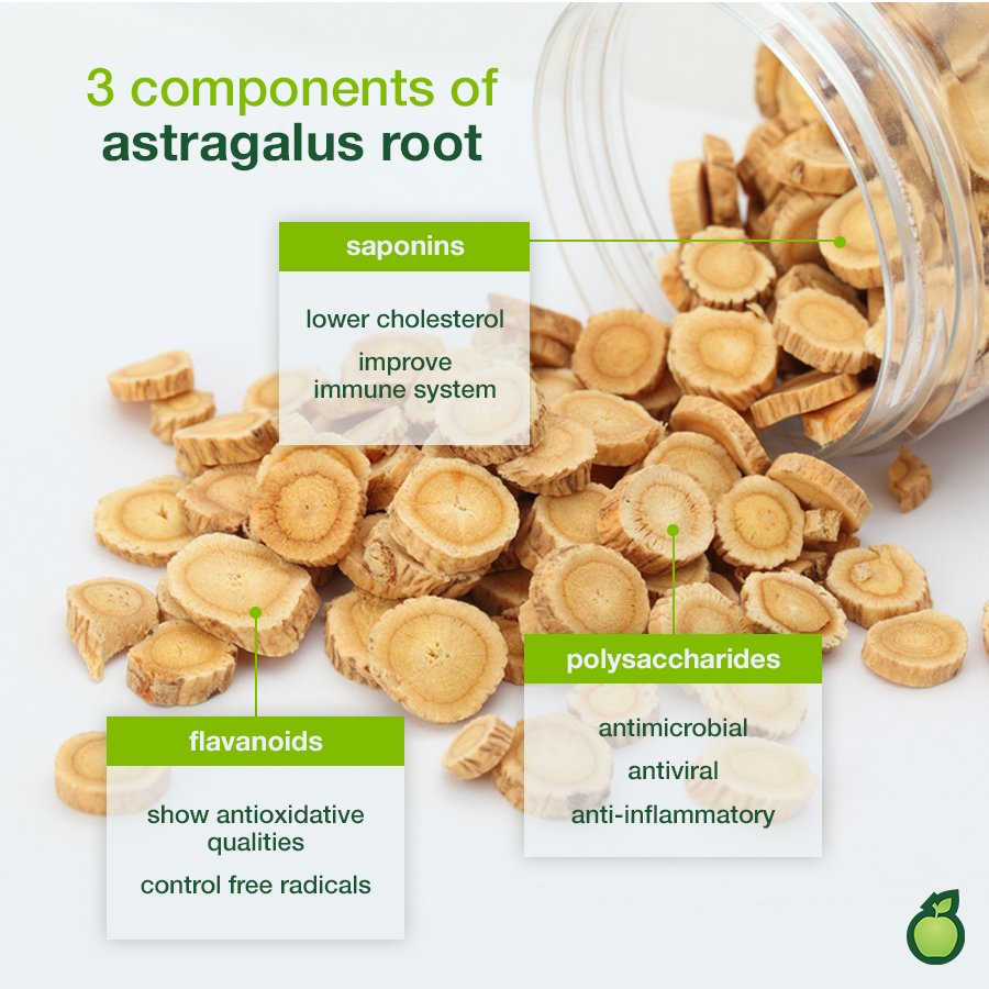 Astragalus root is one of the most powerful immune-building plants that helps beat stress while fighting disease. It contains saponins, flavonoids and polysaccharides-3 components that prevent and protect the body from harmful elements. 🍏 

#HealthyOptionsPH #healthy #health
