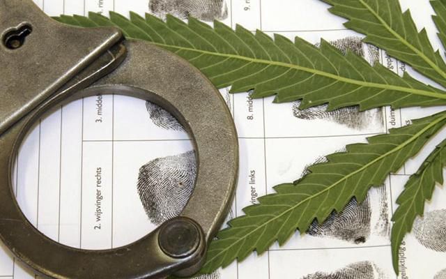 Weed Weekly tweet media