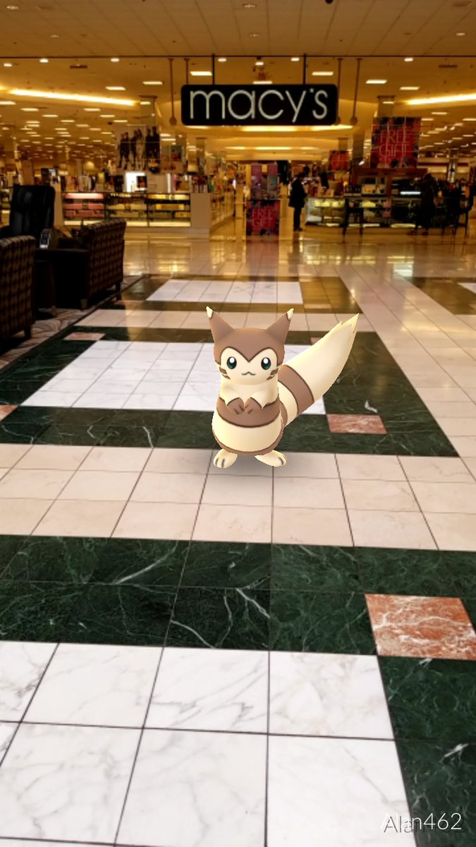ValorV8's tweet image. This Furret was trying to come to Macy's with my raid group #ARPlus #PokemonGO
