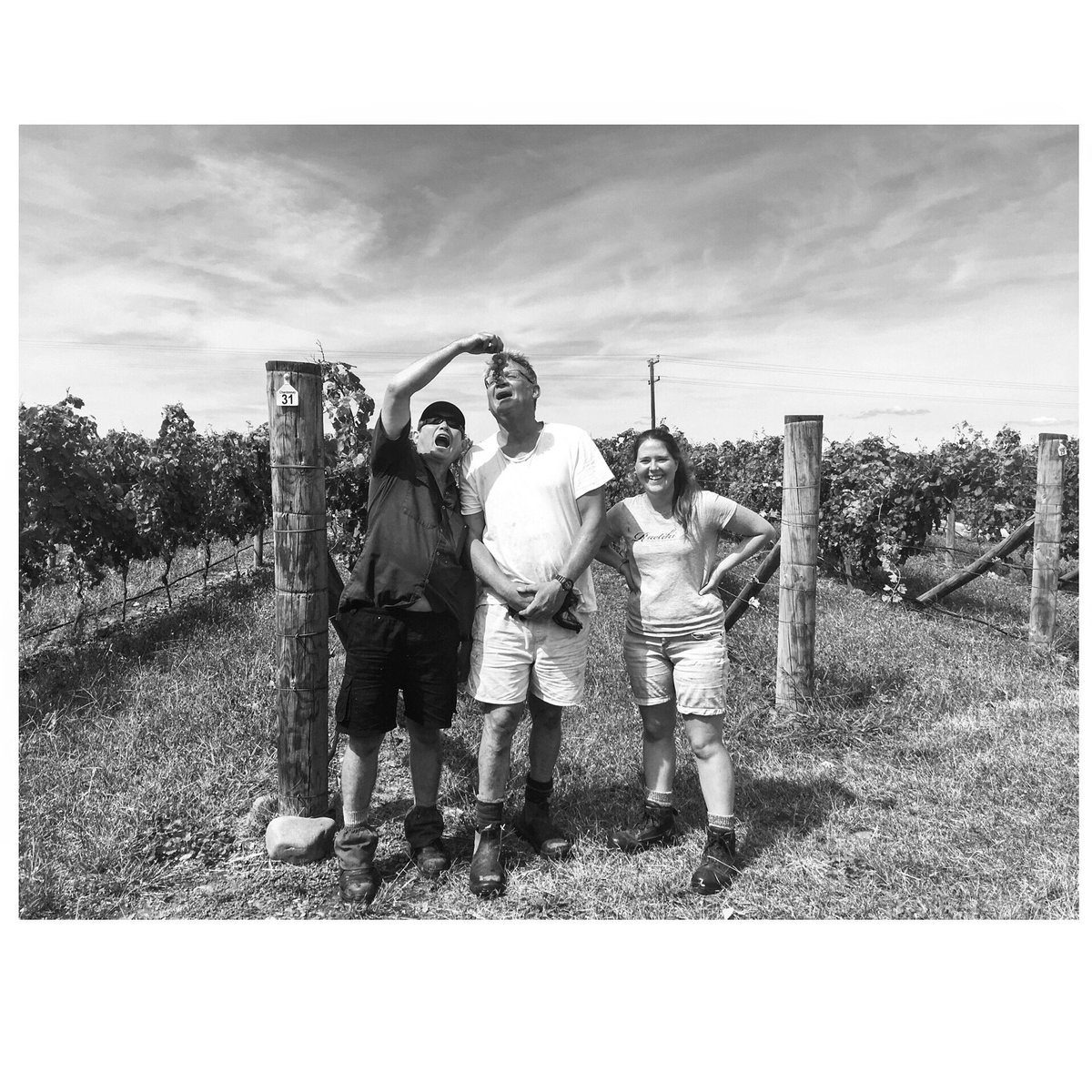 trinityhillwine's tweet photo. Viti team - happy bunch, especially Russell - mouth fed hand harvested Chardonnay. #homeblock #viti #nzv18 https://t.co/A8IL2VC85c