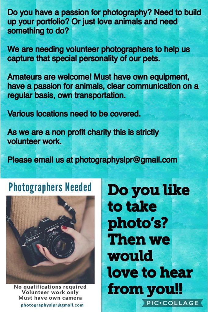 silverliningaus's tweet image. Want to build your #portfolio Do you have the #PassionPurposeProductivity for #photograghy #design  #volunteers you  #loveanimals  Even #Amateurs welcome!  Help capture the #Special #Personality of our #pets #nonprofitcharity  #registeredcharity Committed to #helppets in need. 📷