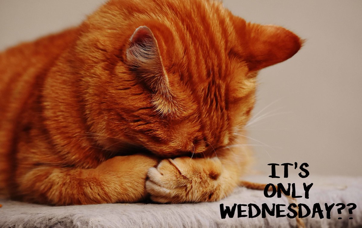 It's only Wednesday??