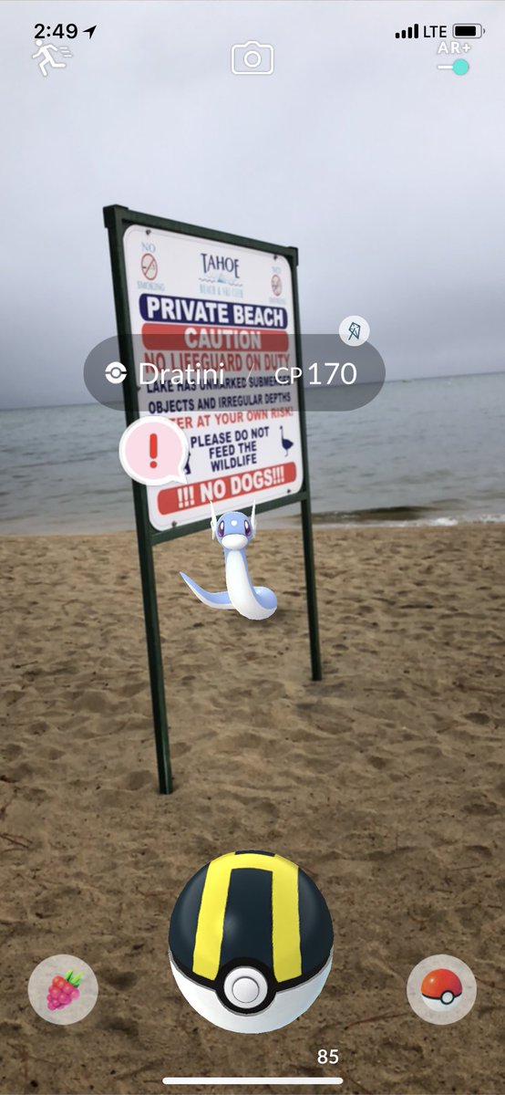 atmosDotNYC's tweet image. I lose an embarrassing number of catches doing ar+ #PokemonGo #ARPlus #arplusmode