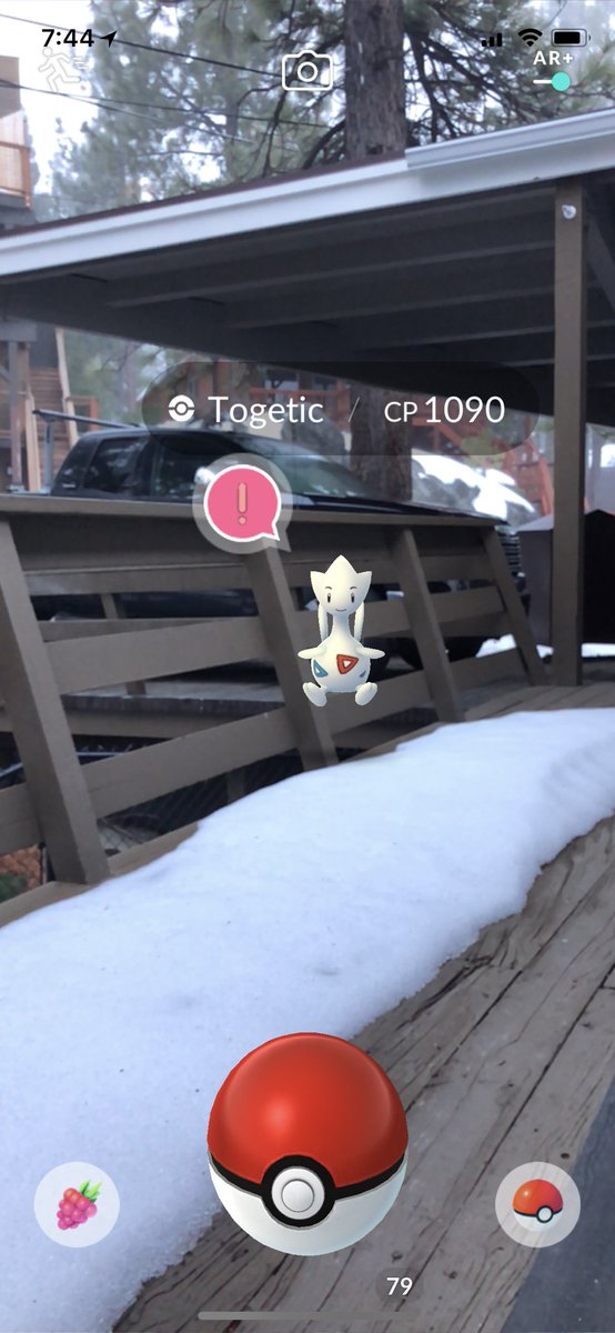 atmosDotNYC's tweet image. I lose an embarrassing number of catches doing ar+ #PokemonGo #ARPlus #arplusmode