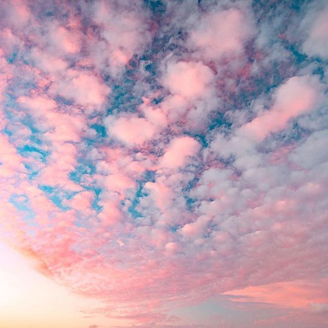 Pink palette bliss captured by @ryanlongnecker [ ift.tt/2xxb9SA ]
*
*
*
*
*
*
*
#scentedflowers
#realflowercompany
#luxuryflorist
#mylifeinflowers
#luxuryflowers
#letterboxflowers
#flowerstoyourdoorstep
#postallove
#letterwriting